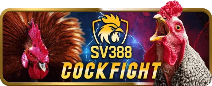 Chương trình VIP J7BET