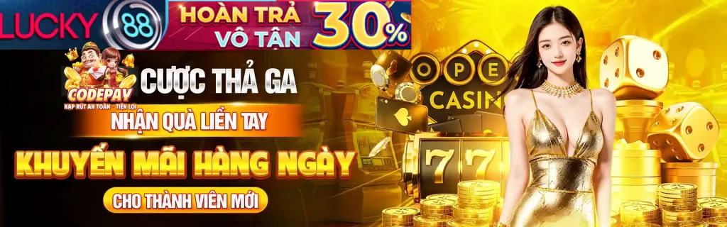 Hình ảnh giao diện quản lý cài đặt cookie và quyền riêng tư